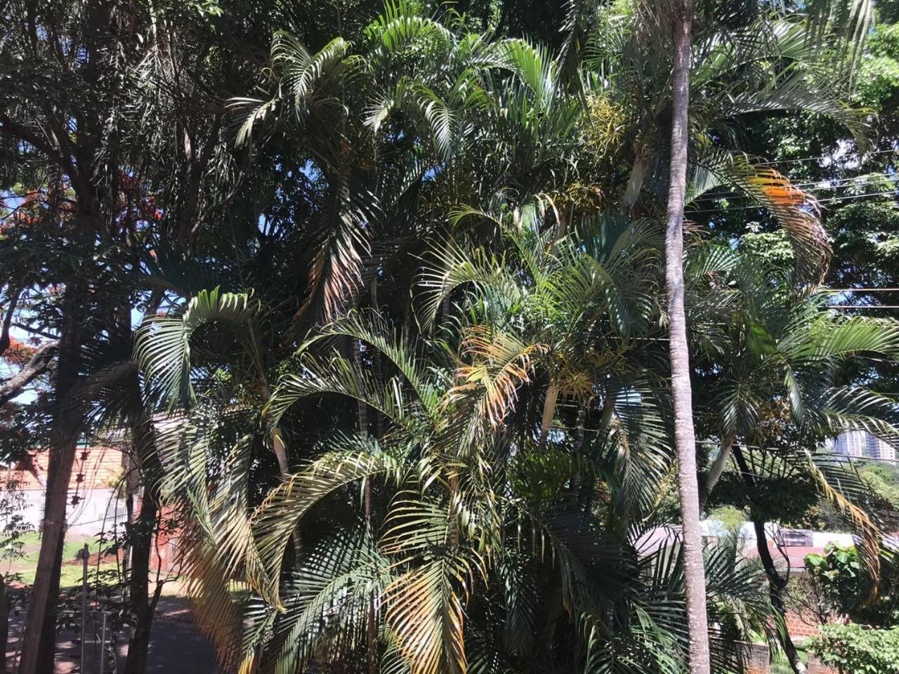 Suite Cardoso Foz do Iguacu Exterior photo
